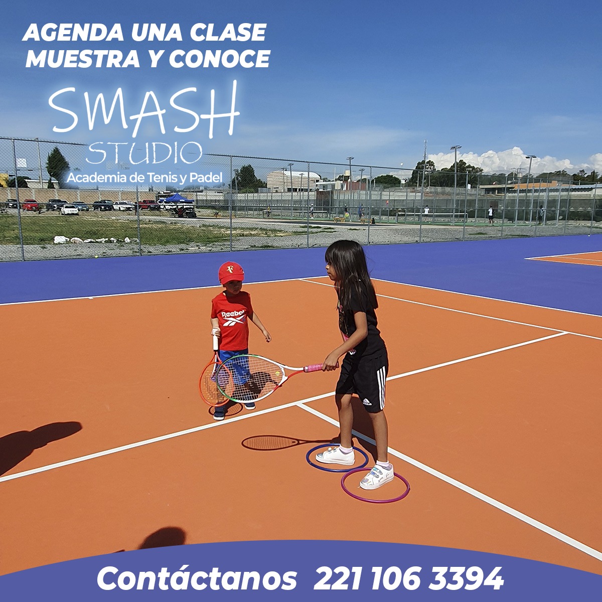 Customer profile user interface